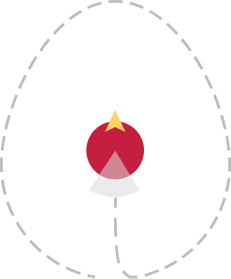 Egg Background